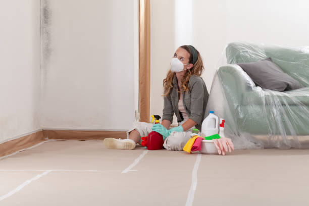 Reliable Mold Testing contractor in Fountain, CO by WQB Mold Removal