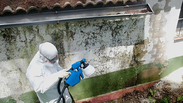 Top rated local Mold Testing specialists in Fountain, CO